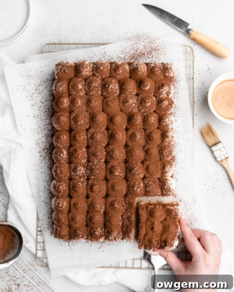 Tiramisu Sheet Cake topped with creamy mascarpone whipped cream and cocoa powder, ready to serve