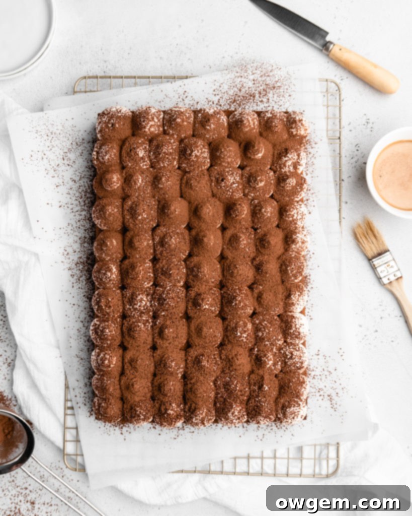 Close-up of Tiramisu Sheet Cake showing layers of cake, simple syrup, mascarpone cream, and cocoa dusting