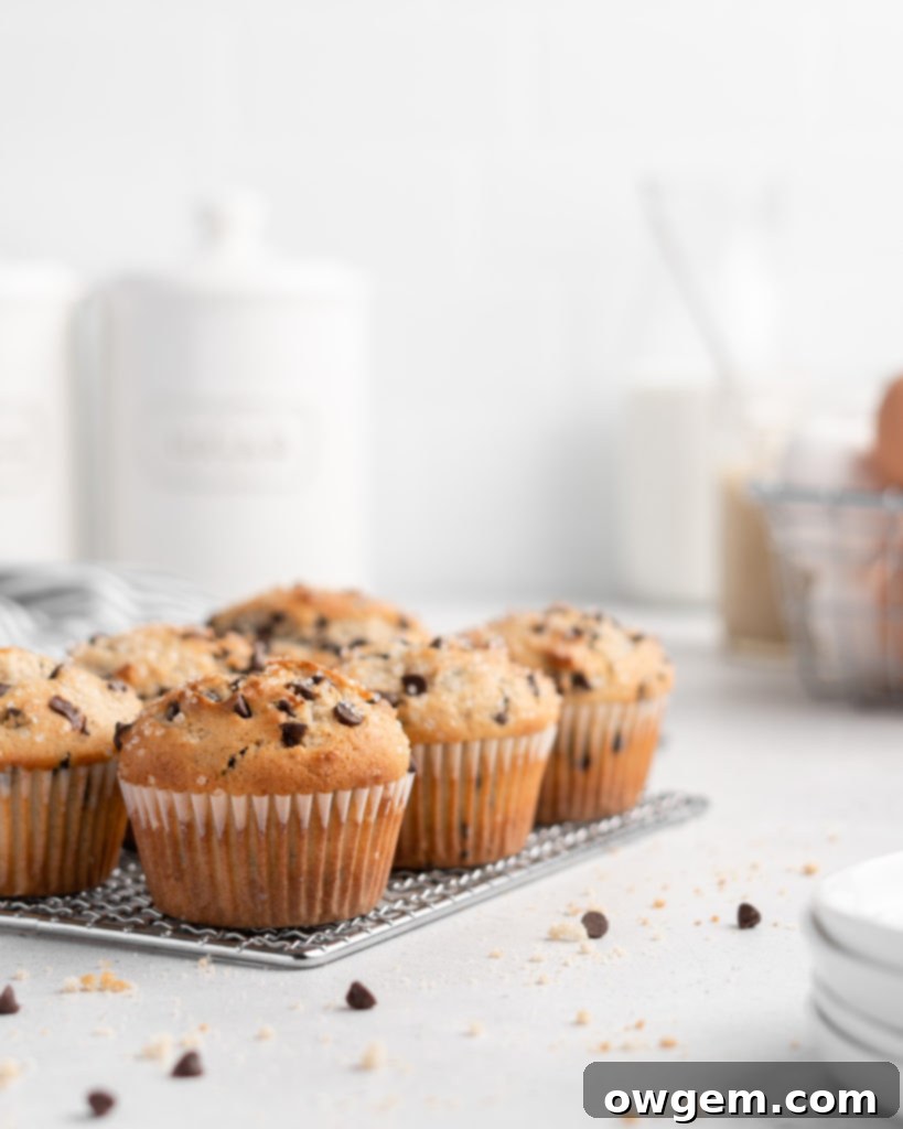 These bakery style chocolate chip muffins feature tahini for a nutty flavor twist