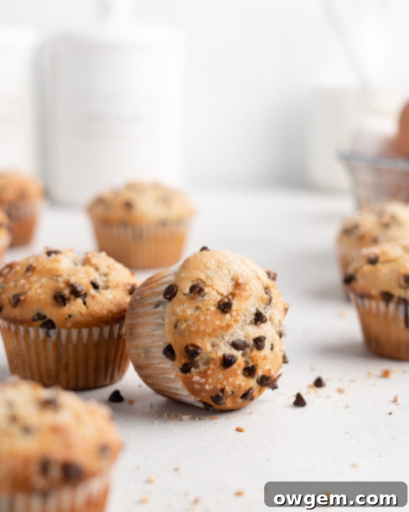 These bakery style chocolate chip muffins feature tahini for a nutty flavor twist