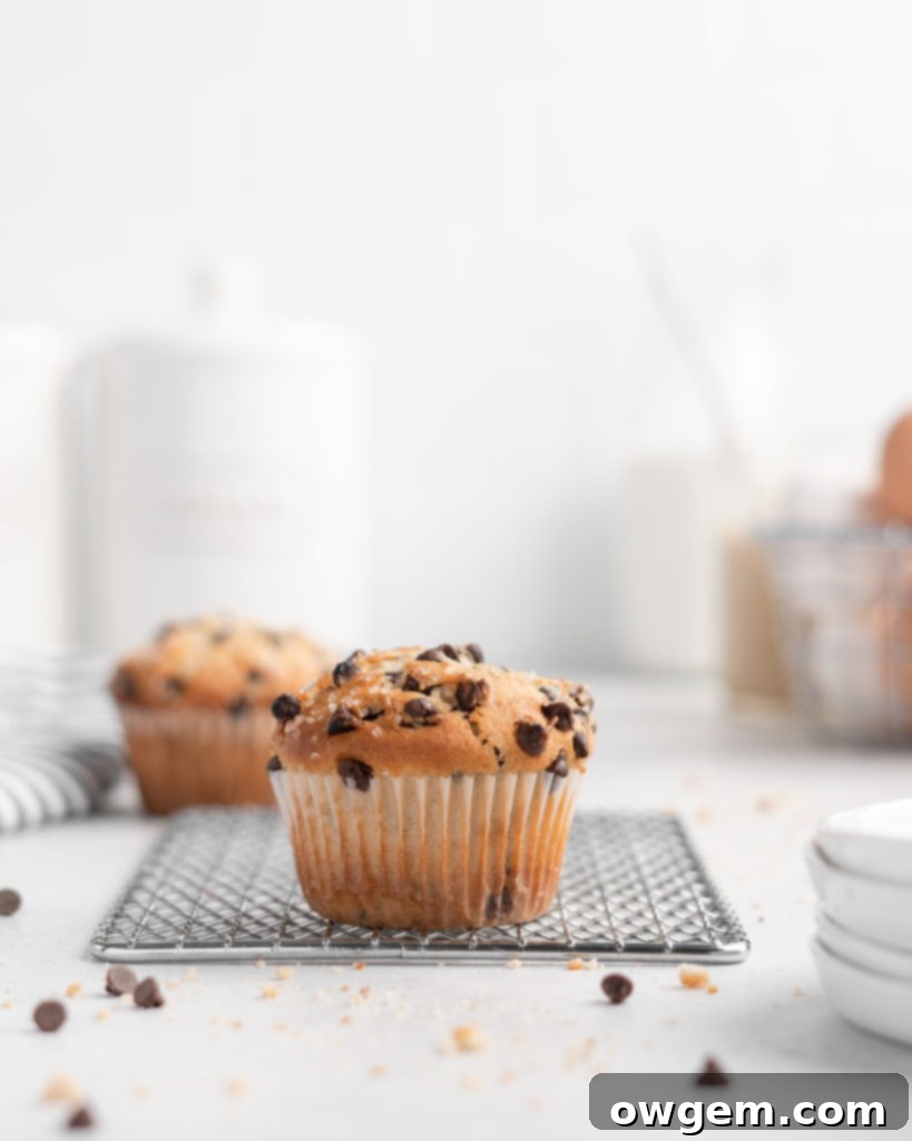 These bakery style chocolate chip muffins feature tahini for a nutty flavor twist