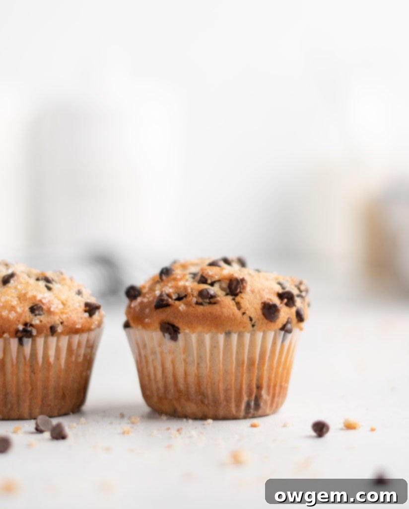 These bakery style chocolate chip muffins feature tahini for a nutty flavor twist