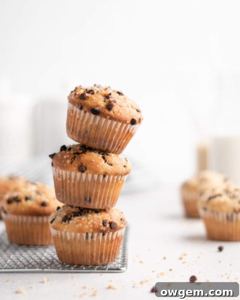 These bakery style chocolate chip muffins feature tahini for a nutty flavor twist
