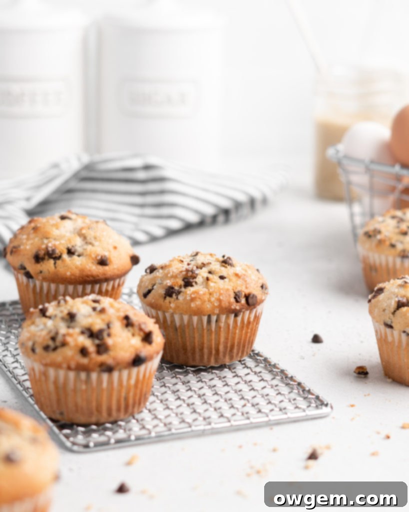 These bakery style chocolate chip muffins feature tahini for a nutty flavor twist