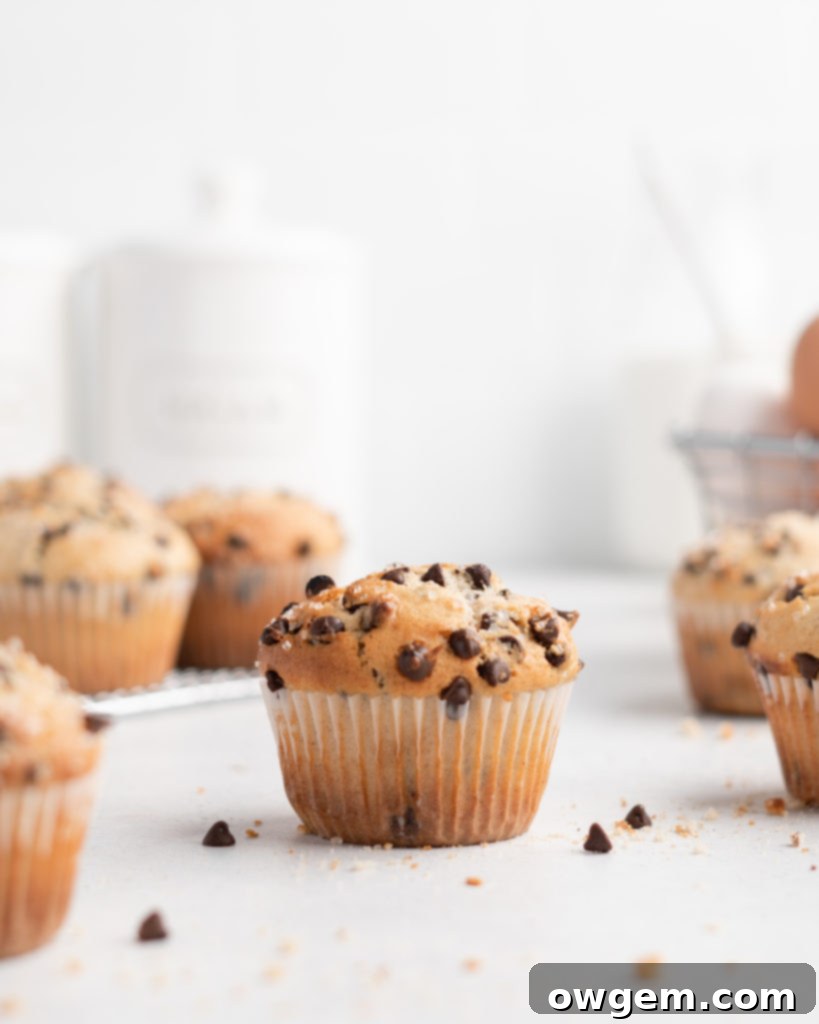 These bakery style chocolate chip muffins feature tahini for a nutty flavor twist