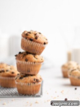 These bakery style chocolate chip muffins feature tahini for a nutty flavor twist