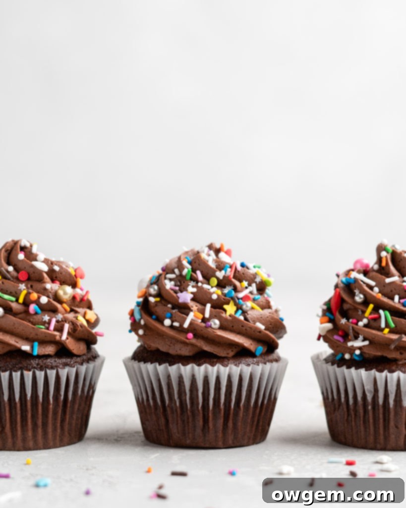 Effortless Chocolate Mini Cakes 2 These Chocolate Cupcakes are moist and fluffy, and jam-packed with rich chocolate flavor! Topped with a rich, buttery chocolate buttercream.