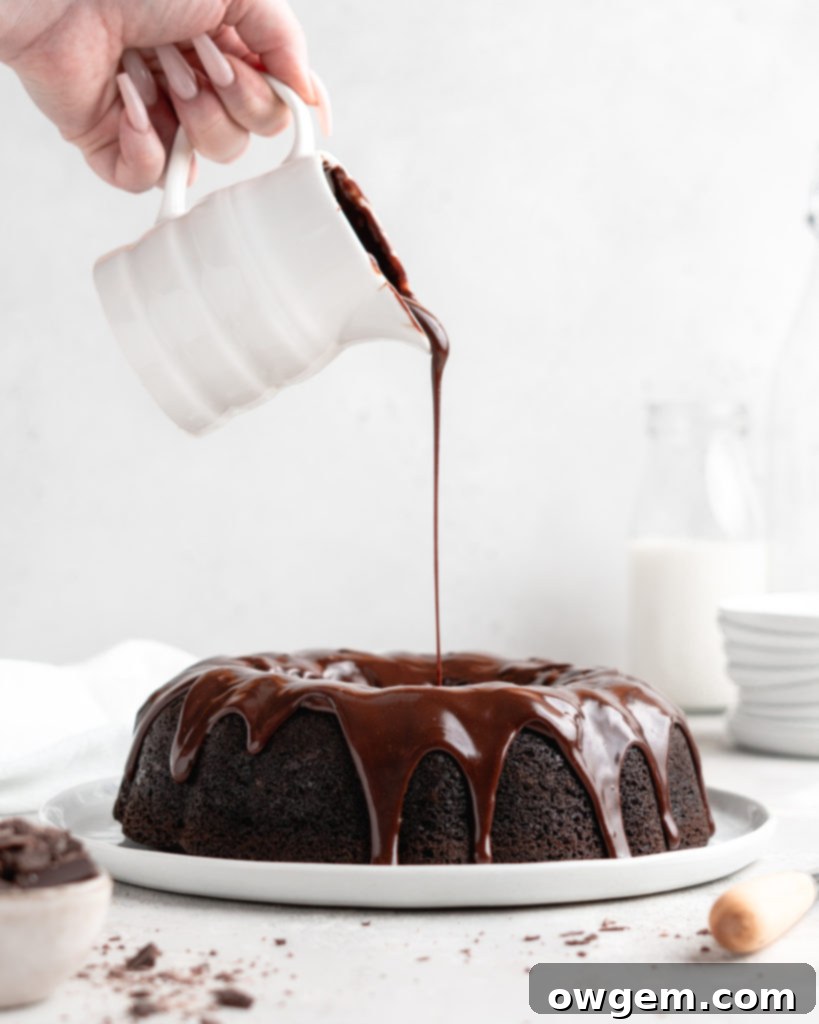 Rich, fudgy, and majorly chocolatey, this Blackout Chocolate Bundt Cake is the perfect treat for any chocolate fanatic!
