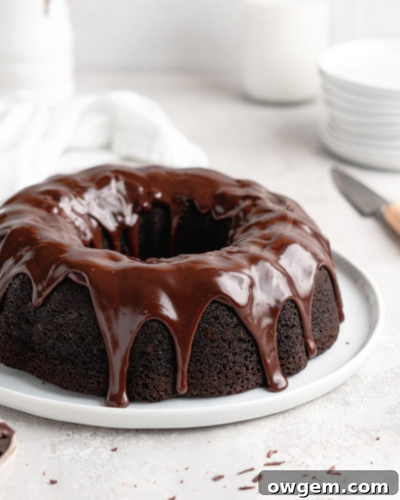 Rich, fudgy, and majorly chocolatey, this Blackout Chocolate Bundt Cake is the perfect treat for any chocolate fanatic!