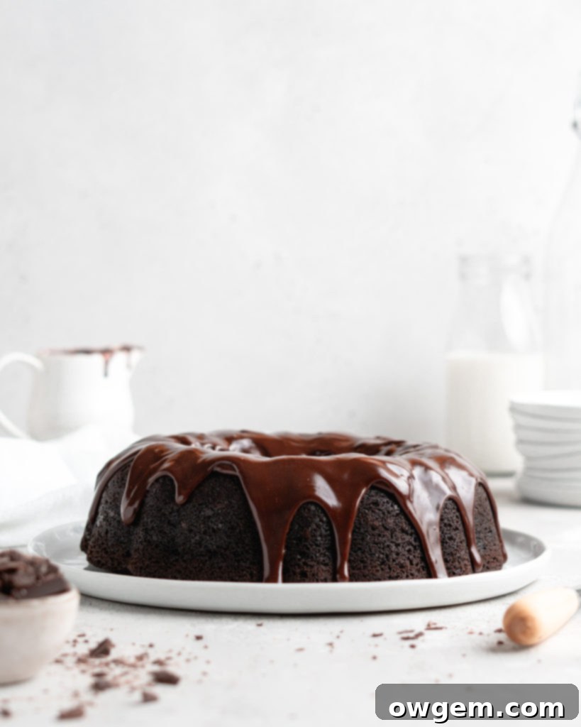 Rich, fudgy, and majorly chocolatey, this Blackout Chocolate Bundt Cake is the perfect treat for any chocolate fanatic!