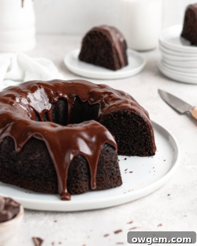 Rich, fudgy, and majorly chocolatey, this Blackout Chocolate Bundt Cake is the perfect treat for any chocolate fanatic!