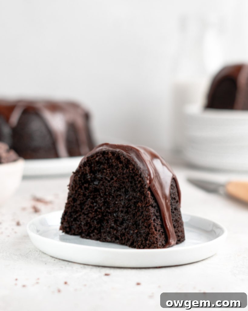 Rich, fudgy, and majorly chocolatey, this Blackout Chocolate Bundt Cake is the perfect treat for any chocolate fanatic!