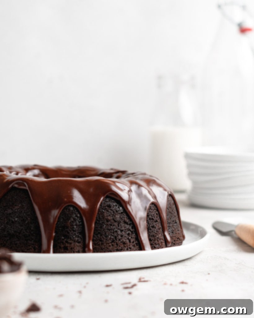 Rich, fudgy, and majorly chocolatey, this Blackout Chocolate Bundt Cake is the perfect treat for any chocolate fanatic!