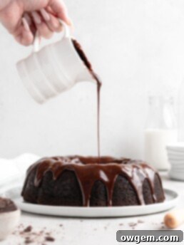 Rich, fudgy, and majorly chocolatey, this Blackout Chocolate Bundt Cake is the perfect treat for any chocolate fanatic!