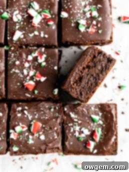 Perfectly Christmas-y, these One Bowl Peppermint Brownies are quick and easy to make, and the definition of rich and fudgy.
