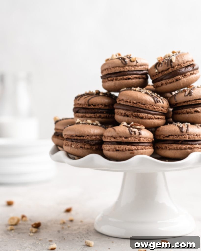 Chocolate macarons are filled with a delicious and easy to make Nutella Buttercream in these Nutella Macarons