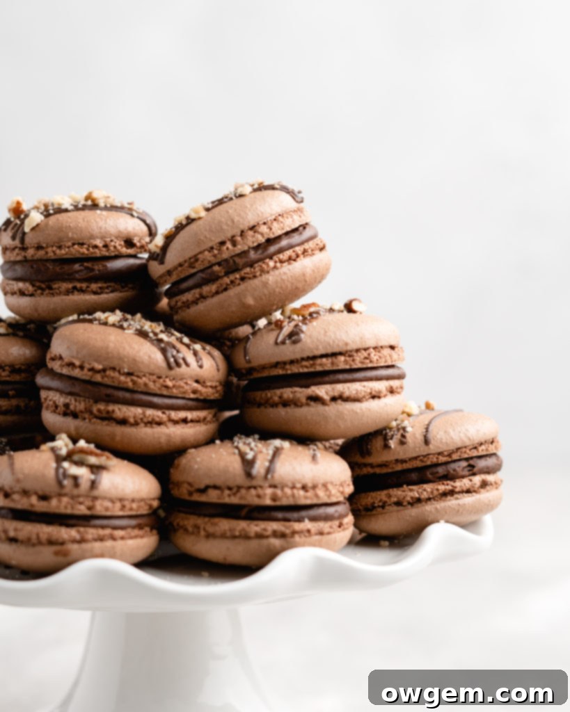 Chocolate macarons are filled with a delicious and easy to make Nutella Buttercream in these Nutella Macarons