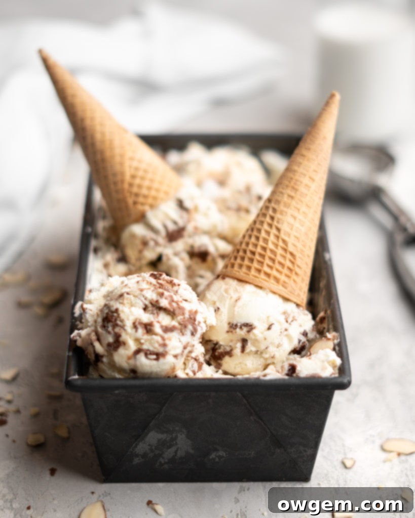 No churn almond ice cream is infused with a mocha swirl and full of chopped almonds