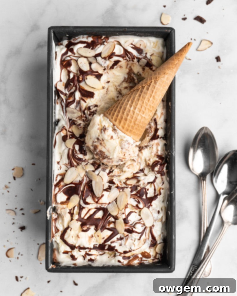 No churn almond ice cream is infused with a mocha swirl and full of chopped almonds