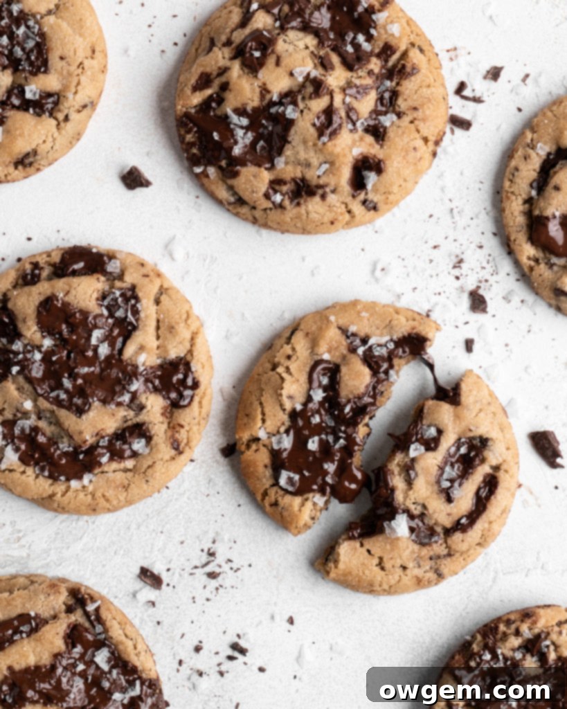 A close-up shot of a single brown butter chocolate chip cookie with perfectly melted chocolate, showcasing its irresistible texture.