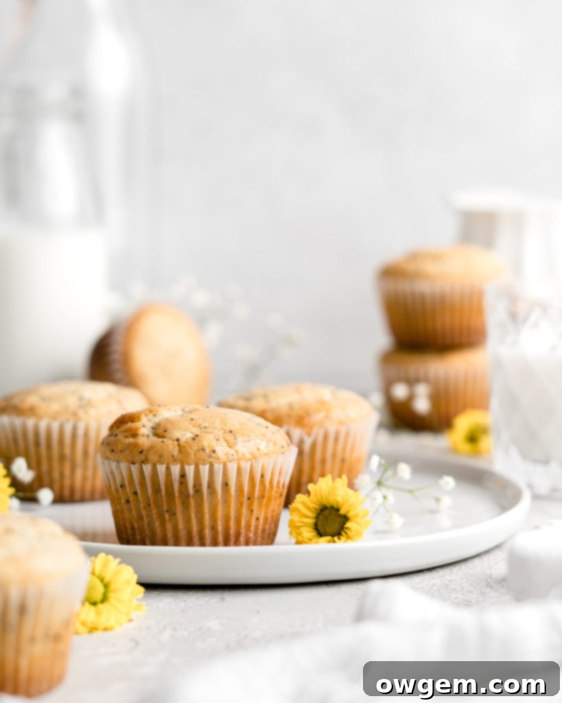 Light and fluffy one bowl lemon poppy seed muffins in white wrappers on a plate, showcasing their golden tops and tender crumb