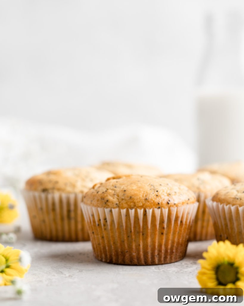 Two fluffy lemon poppy seed muffins in white paper liners on a textured plate