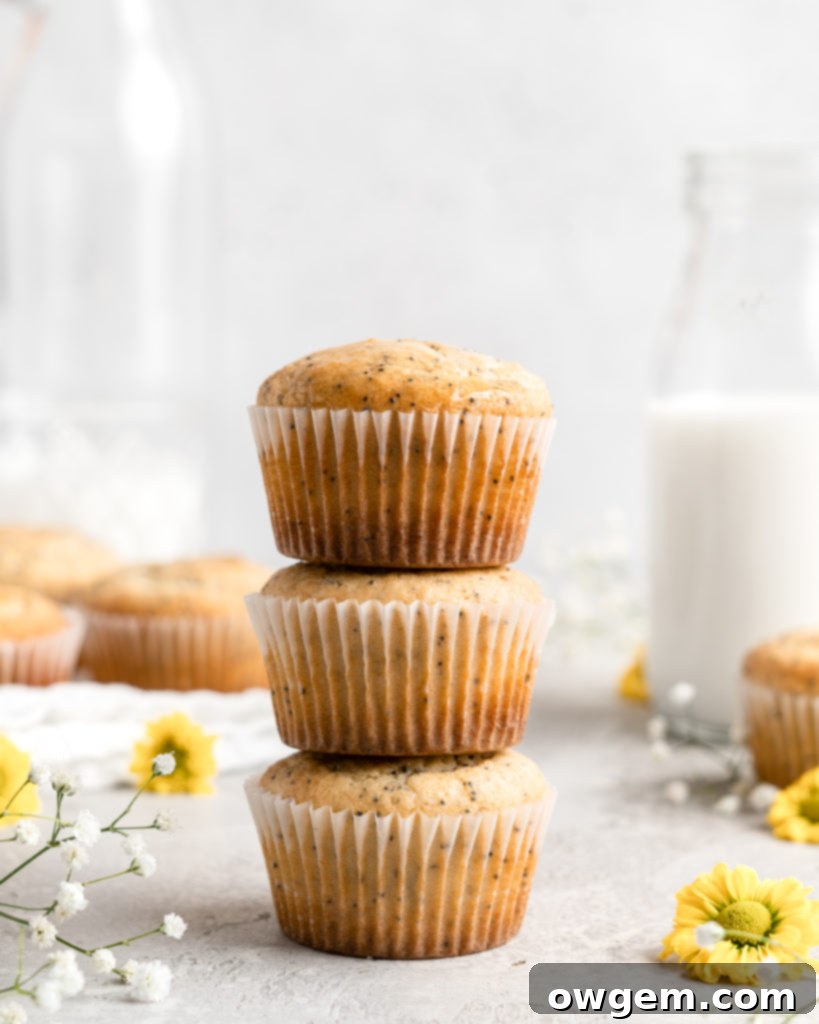A close-up view of two lemon poppy seed muffins with a soft golden-brown crust