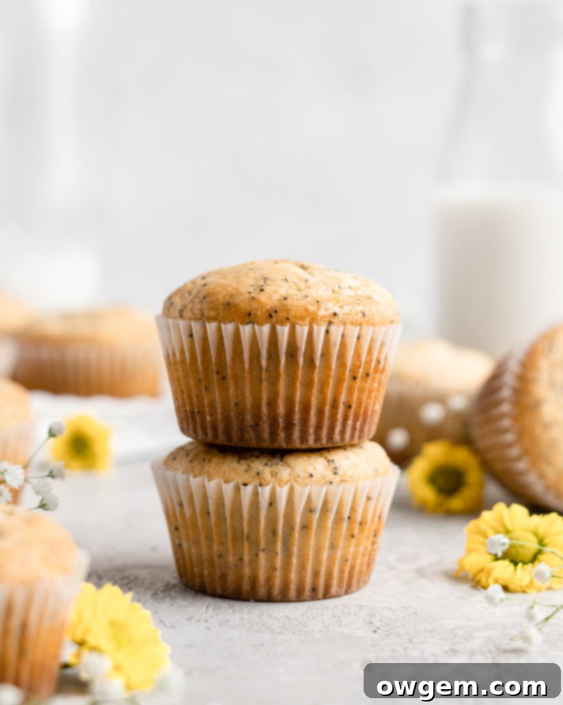 A single perfectly baked lemon poppy seed muffin in a white liner