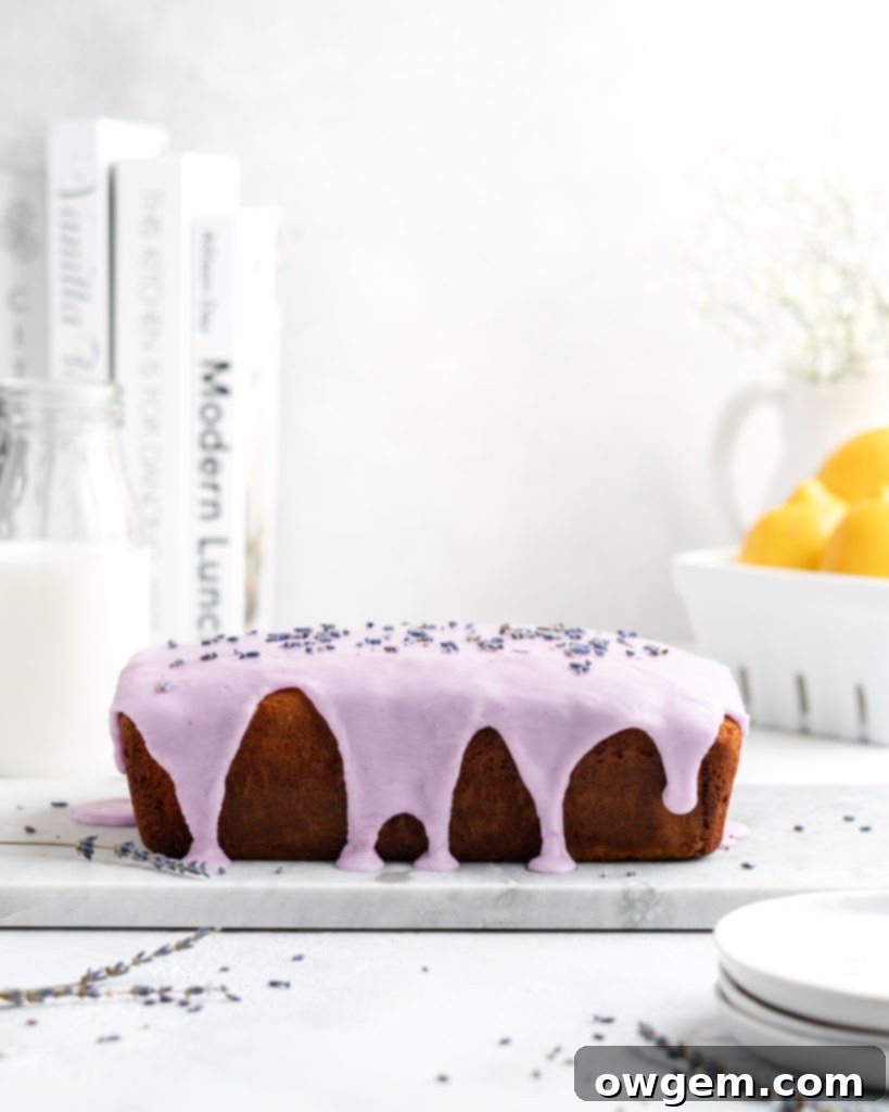 Close-up of fluffy and moist Lemon and lavender loaf cake with purple vanilla glaze