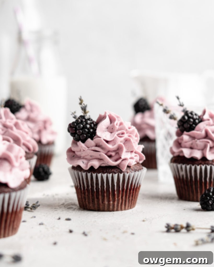 quick and easy chocolate cupcakes are topped with a creamy lavender blackberry buttercream frosting