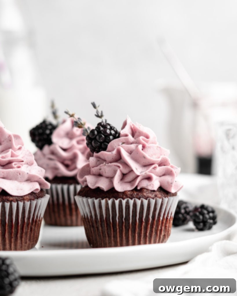 quick and easy chocolate cupcakes are topped with a creamy lavender blackberry buttercream frosting