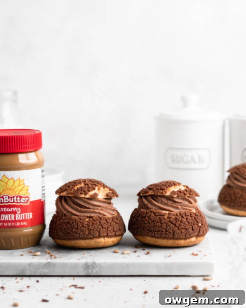 Two beautifully arranged cream puffs, each with a crisp chocolate craquelin and rich SunButter Milk Chocolate ganache filling