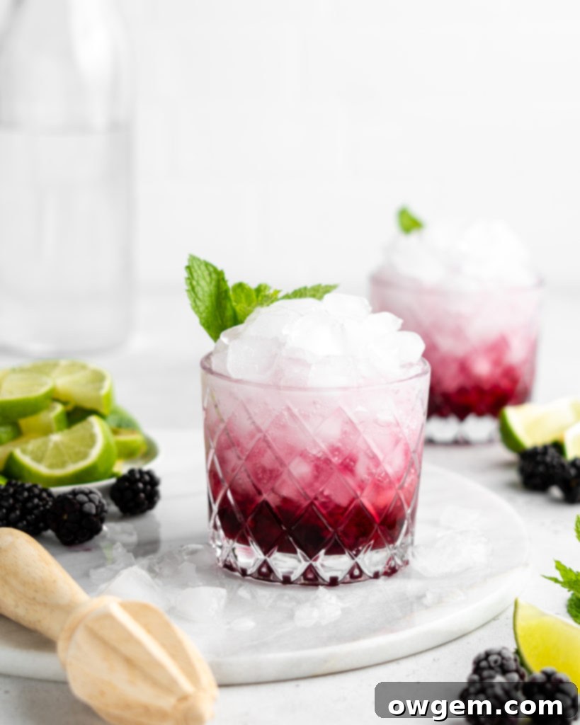 Two Blackberry Rhubarb Vodka Cocktails in highball glasses, garnished with mint and lime, ready to serve.