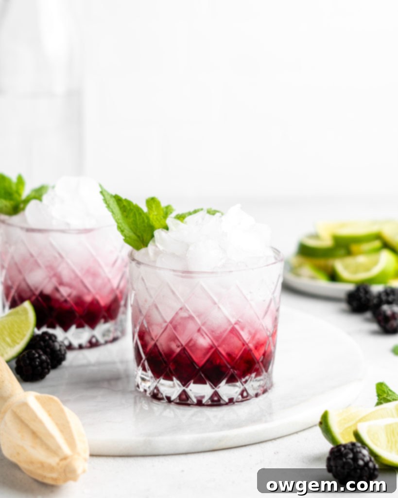 Close-up of a refreshing Blackberry Rhubarb Vodka Cocktail with ice, mint, and lime, showing condensation on the glass.