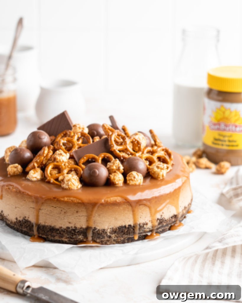 SunButter Cheesecake features a chocolate pretzel crust and is topped with a salted caramel sauce