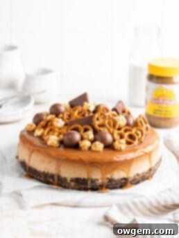 SunButter Cheesecake features a chocolate pretzel crust and is topped with a salted caramel sauce