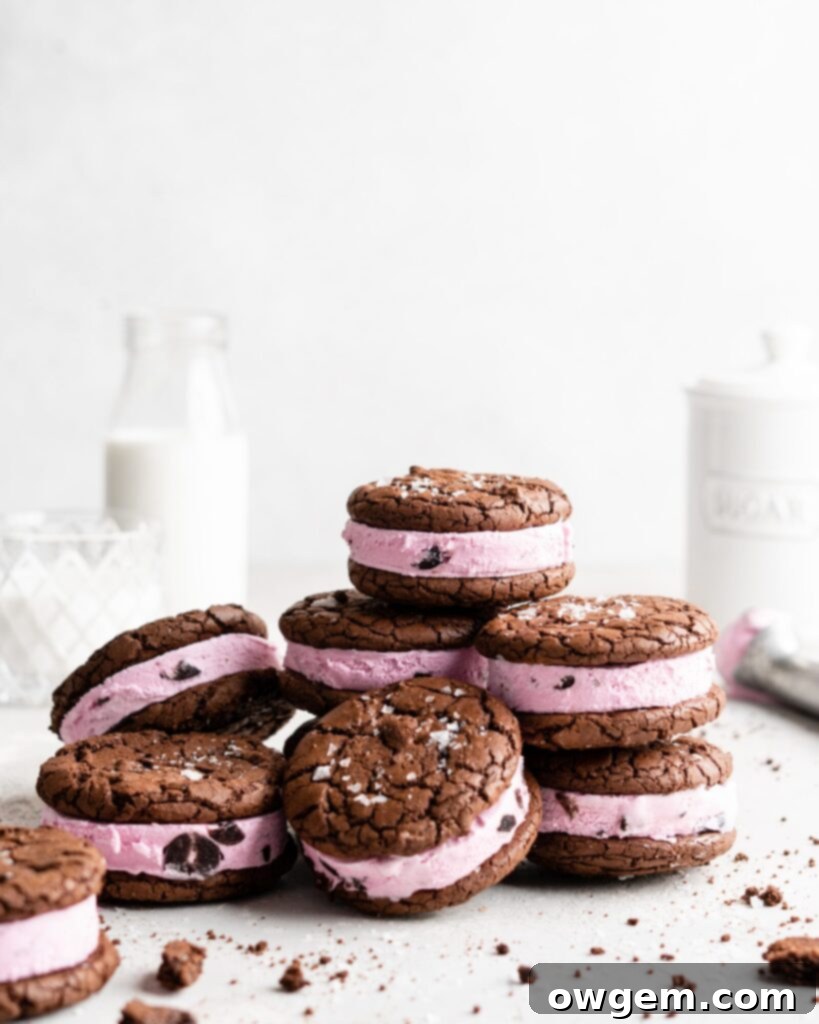 Fudgy chocolate cookies are sandwiched over black berry ice cream to make these Black Forest Ice Cream Sandwiches