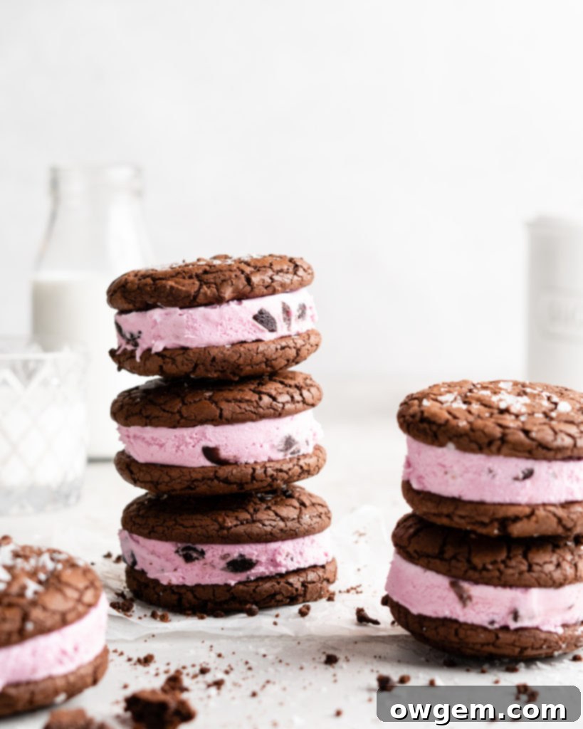 Fudgy chocolate cookies are sandwiched over black berry ice cream to make these Black Forest Ice Cream Sandwiches