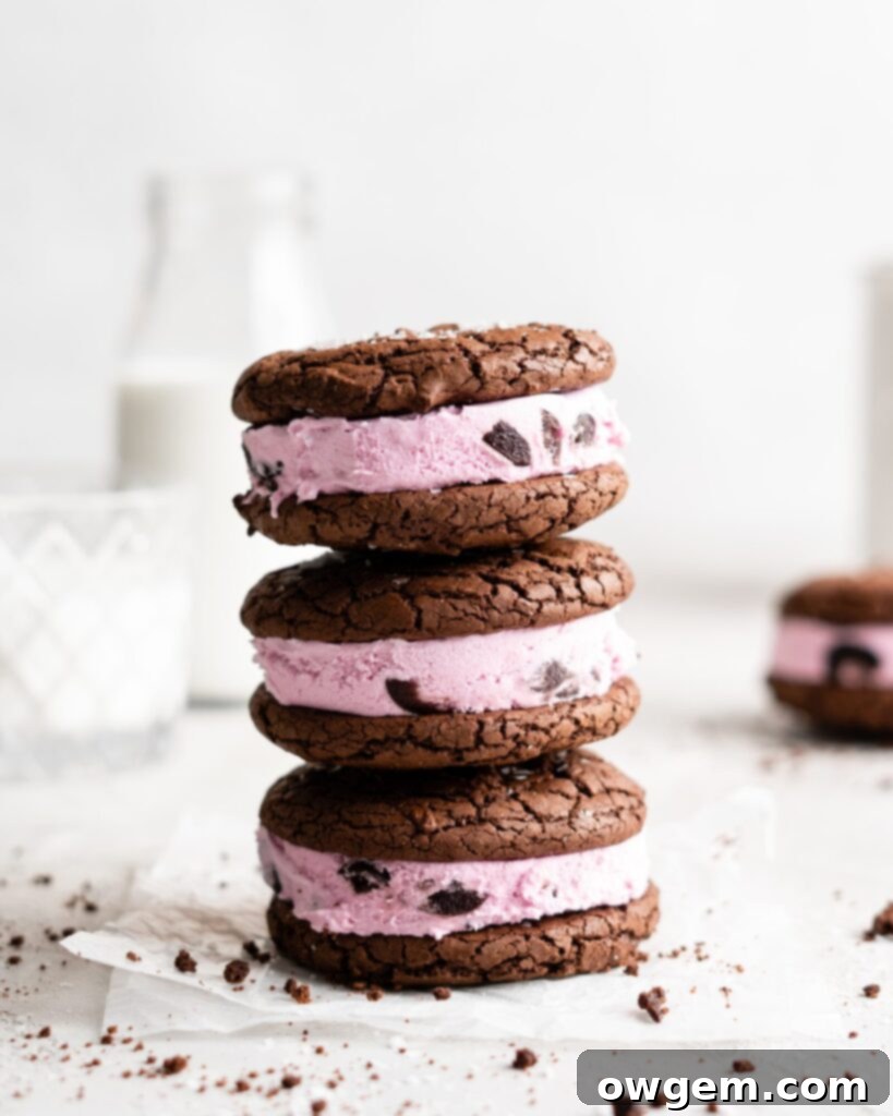Fudgy chocolate cookies are sandwiched over black berry ice cream to make these Black Forest Ice Cream Sandwiches