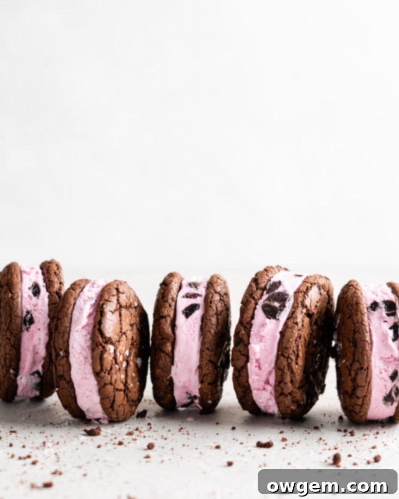 Fudgy chocolate cookies are sandwiched over black berry ice cream to make these Black Forest Ice Cream Sandwiches