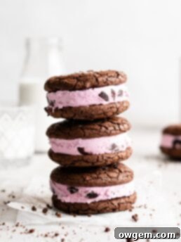 Fudgy chocolate cookies are sandwiched over black berry ice cream to make these Black Forest Ice Cream Sandwiches
