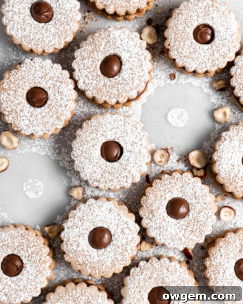 Flower shaped linzer cookies filled with nutella, sandwiched together, and dusted with confectioners sugar