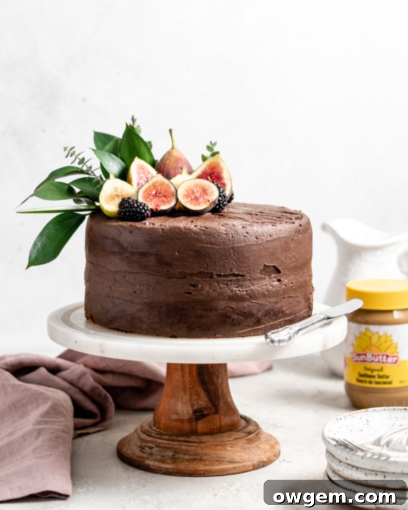 An enticing close-up of a two-layer SunButter Banana Cake adorned with rich chocolate frosting, topped with delicate figs, ready to be enjoyed.