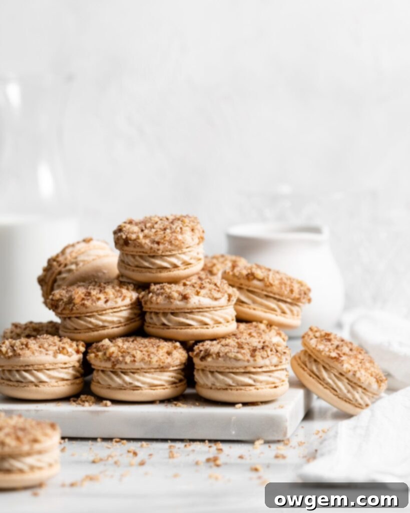 Maple pecan macarons using swiss method, filled with rich maple flavor, the macarons also have a maple buttercream that is speckled with little pecan bits, and a pecan crusted top