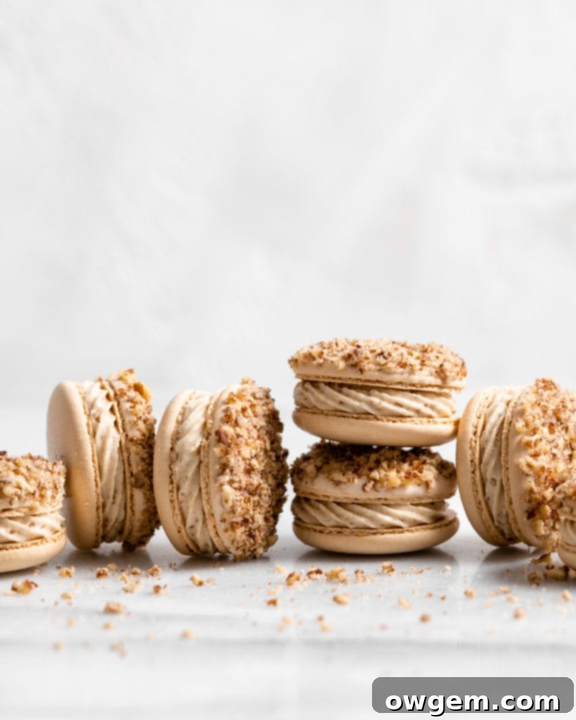 Maple pecan macarons using swiss method, filled with rich maple flavor, the macarons also have a maple buttercream that is speckled with little pecan bits, and a pecan crusted top