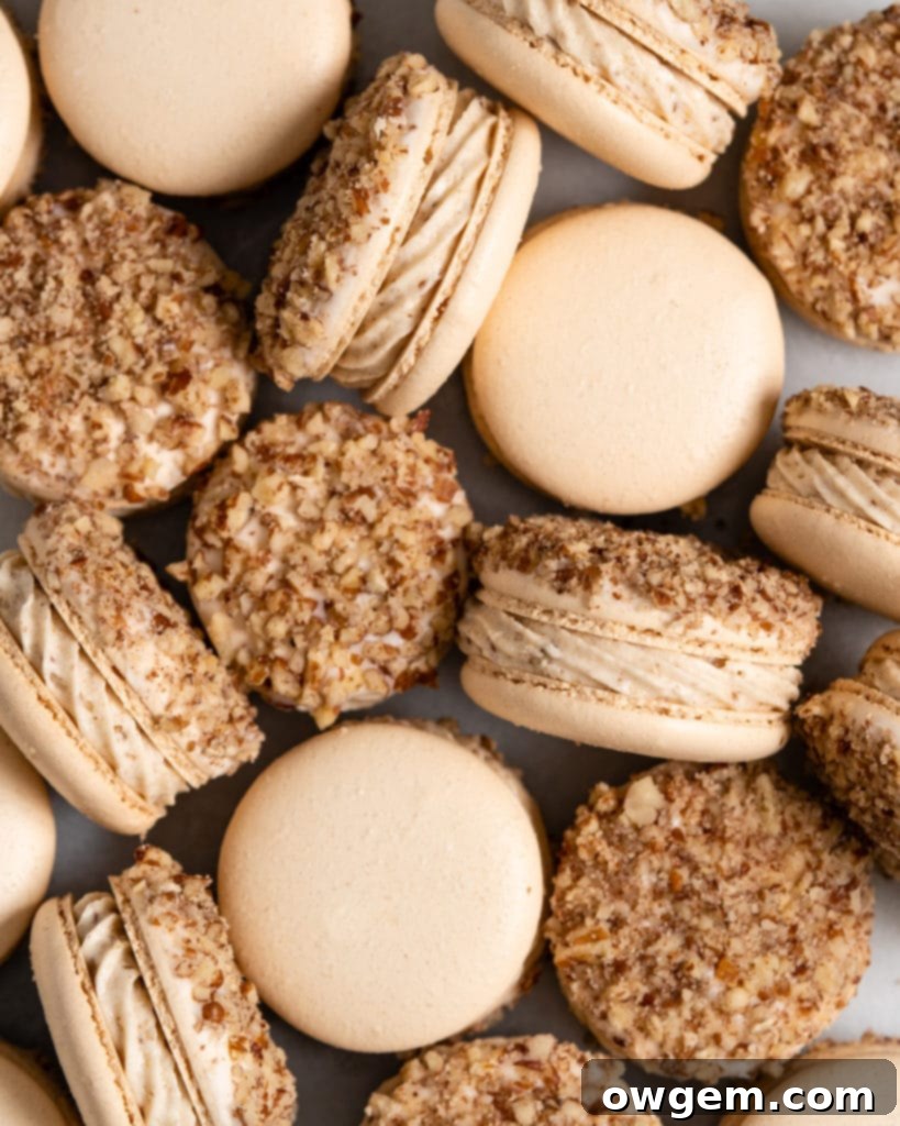 Maple pecan macarons using swiss method, filled with rich maple flavor, the macarons also have a maple buttercream that is speckled with little pecan bits, and a pecan crusted top