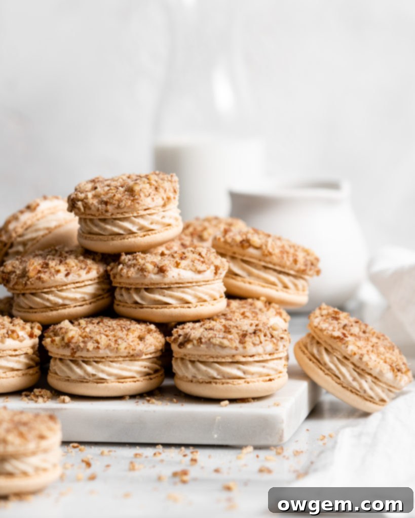 Maple pecan macarons using swiss method, filled with rich maple flavor, the macarons also have a maple buttercream that is speckled with little pecan bits, and a pecan crusted top