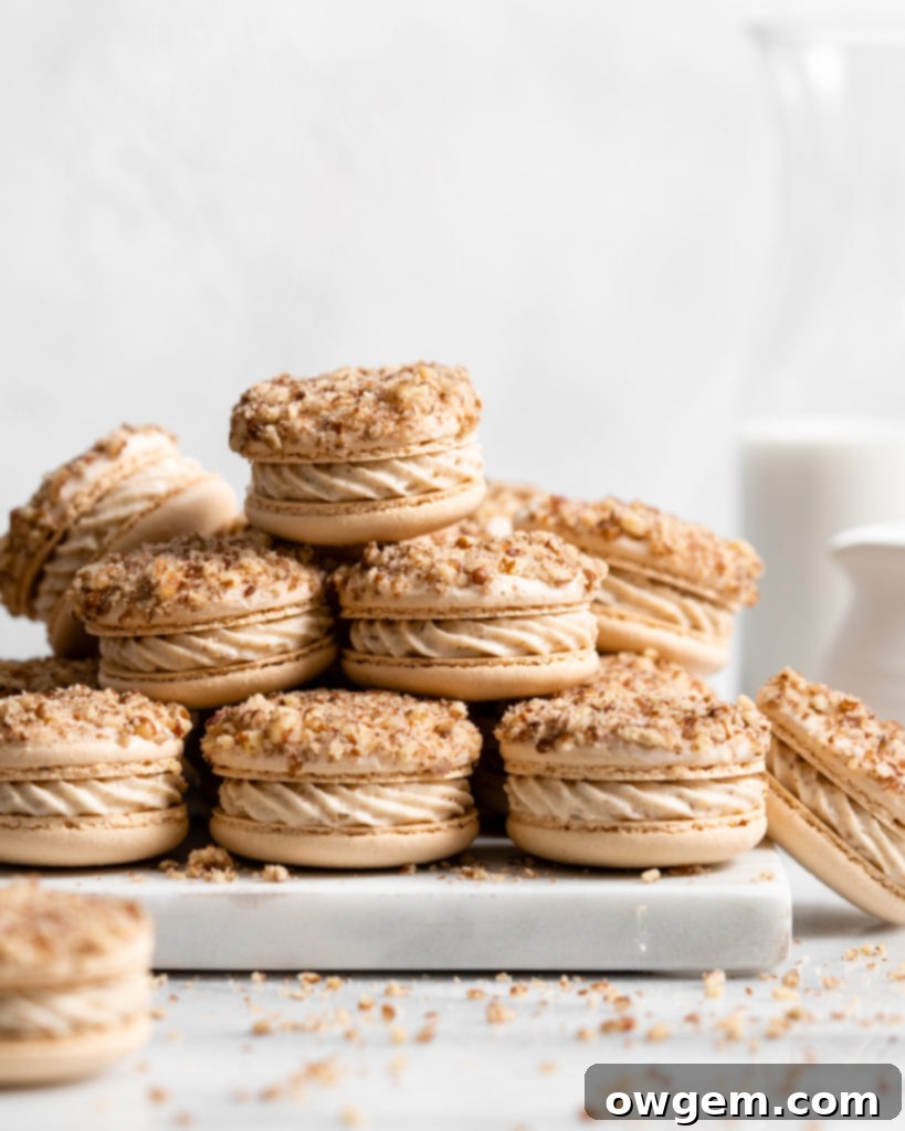 Maple pecan macarons using swiss method, filled with rich maple flavor, the macarons also have a maple buttercream that is speckled with little pecan bits, and a pecan crusted top