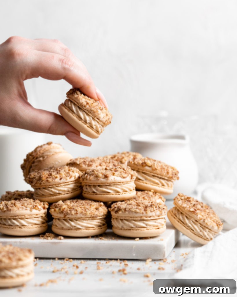 Maple pecan macarons using swiss method, filled with rich maple flavor, the macarons also have a maple buttercream that is speckled with little pecan bits, and a pecan crusted top