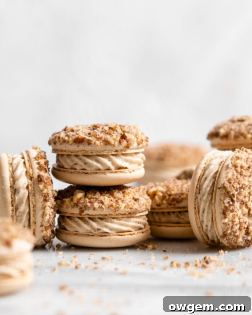Maple pecan macarons using swiss method, filled with rich maple flavor, the macarons also have a maple buttercream that is speckled with little pecan bits, and a pecan crusted top